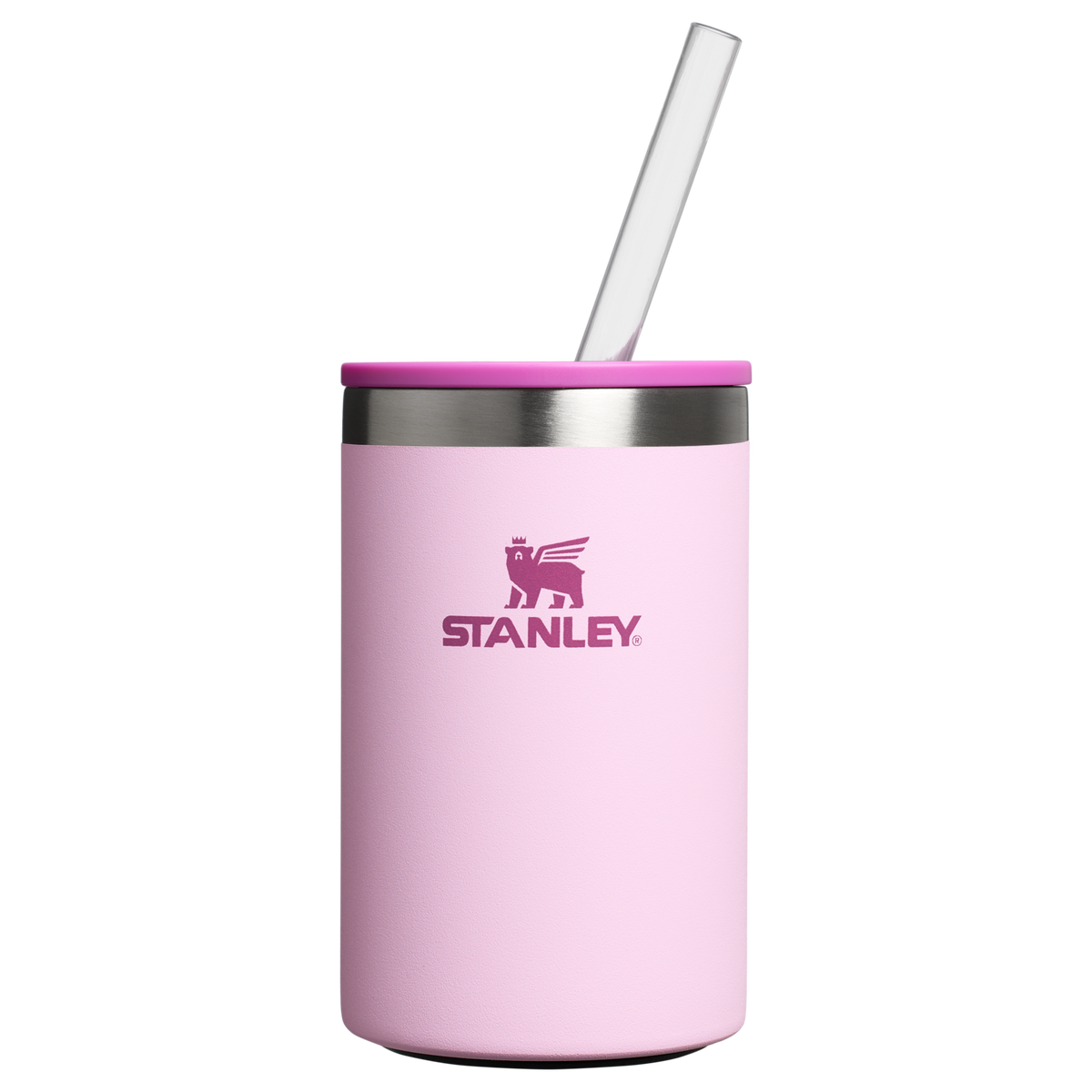 The Everyday Can Cooler Cup
